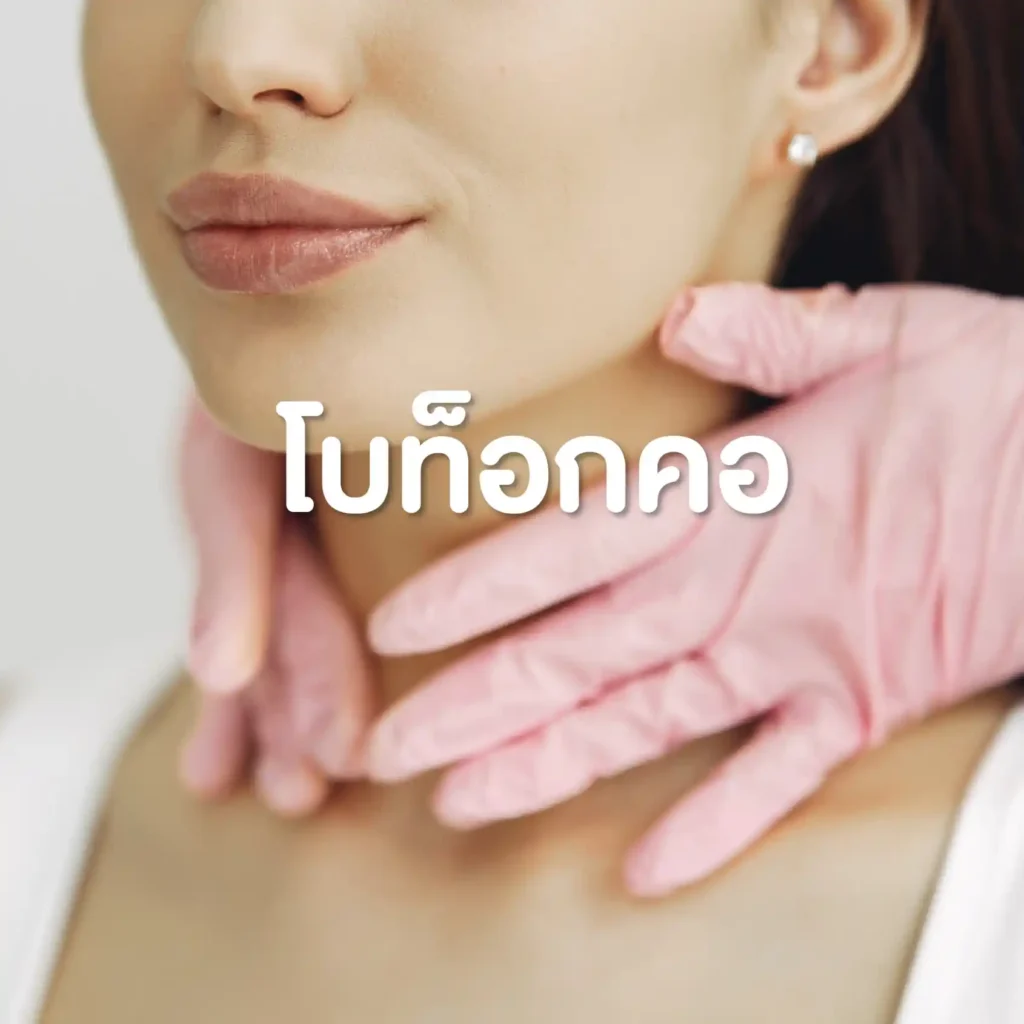 โปรแกรมโบท็อกคอ